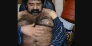 Big hairy bear and hairy body