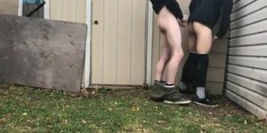 Backyard Amateur Love