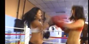 flexi latin lesbea fight on the boxing ring