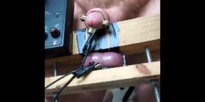 Electrics squashed fried balls and cock