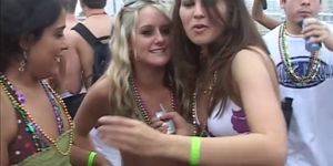 Wild girls kiss and fondle each other