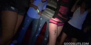 Tits and pussy flashing babes attending orgy