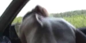 Amateur couple having great sex in the car