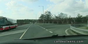 Teen hitchhiker bangs in strangers car