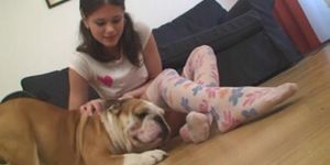 Famous Little Caprice with English bulldog