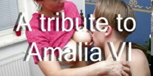 A tribute to Amalia VI a compilation