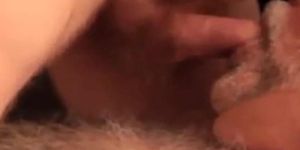 daddy bear sucking cock and cumming on his beard