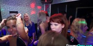 Clothed amateur sluts party hard