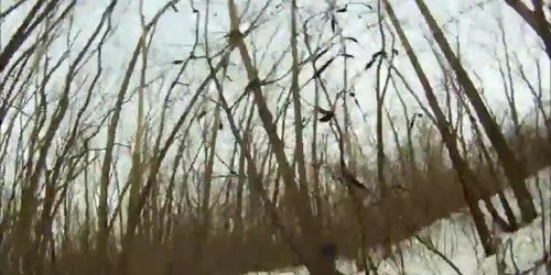 outdoor cock sucking