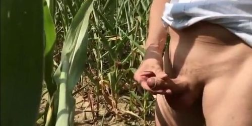 Summer Sun Corn  Wanking  Piss