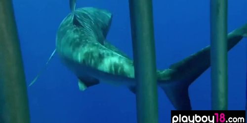 Nude badass Taylor Seinturier diving into the ocean to meet with a shark