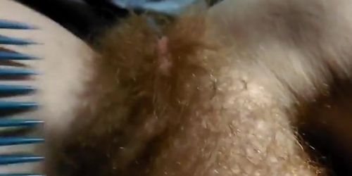 hairy redhead