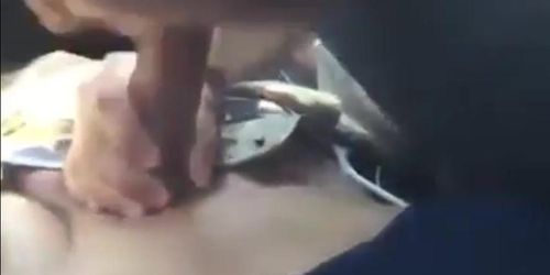 Car Blowjob With Cum