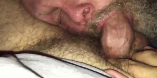 Big bear suckin my dick