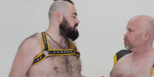 Superchub facefucks and barebacks heavy bear