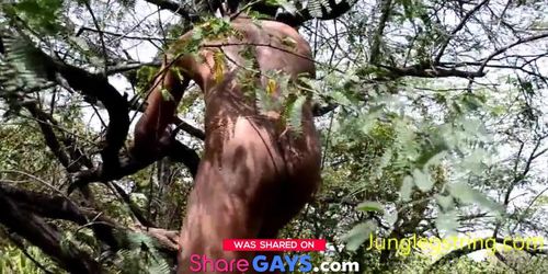 Indian jungle boy roaming in jungle