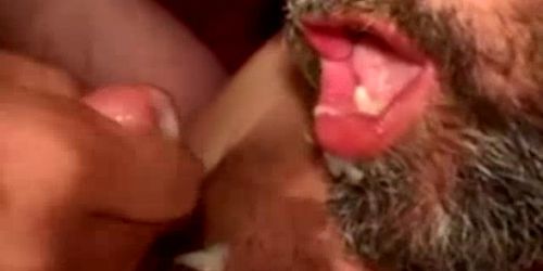 A gay bear wants boys to spurt jizz on his hairy body