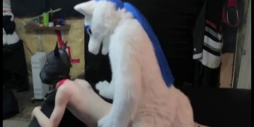 Fursuiter sex