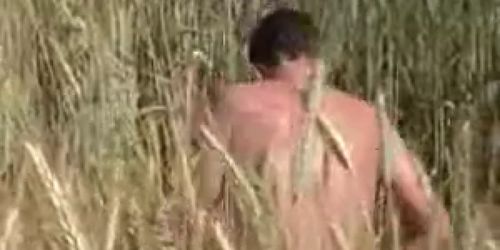 Amateur fuck on a wheat field