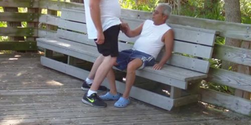 older gays have sex in public park