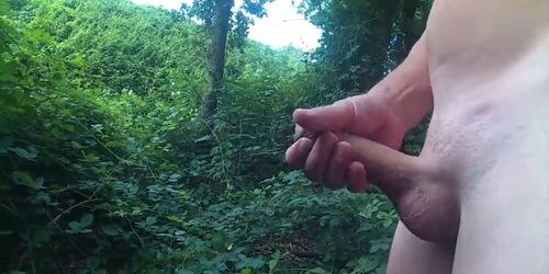 outdoor wanking in the woods near the train track