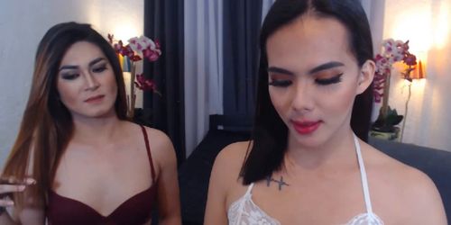 Shemale girlfriends fucking on cam