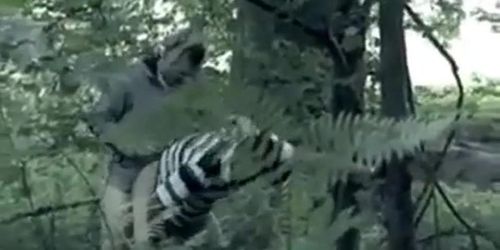 gaymainstream- shank