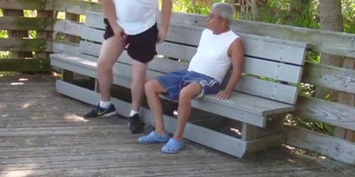 older gays have sex in public park