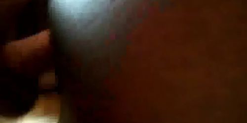 Black Bitch Bred Then Clean White Bear Cock