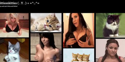 Titties and Kitties! tittiesnkitties