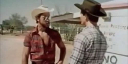 Retro And Gay Brokeback Bareback Mountain