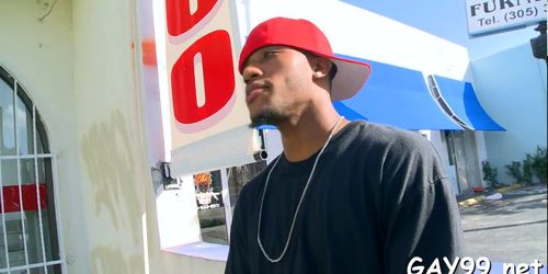 Interracial fun of gays