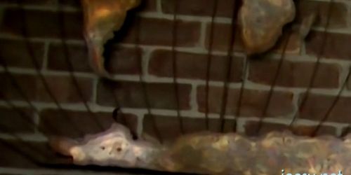 Real home made gay porn