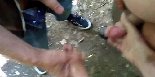 Cumshots in the park again