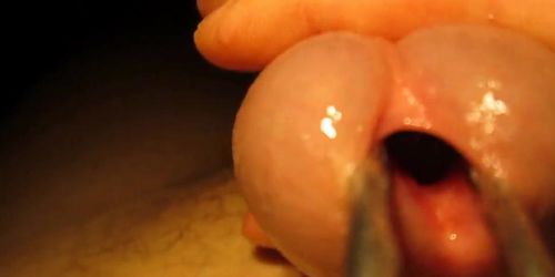 Urethral sounding and stretching with cumshot