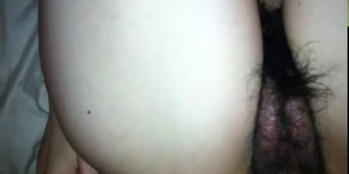 hairy meaty asian pussy gets fucked