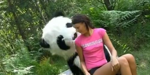 sex in the woods with a huge toy panda