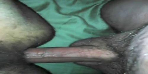 HUGE (verbal) white dick breed Latin pigs ass