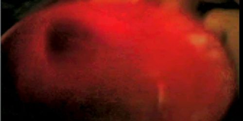 Camming - Cumming (v2)