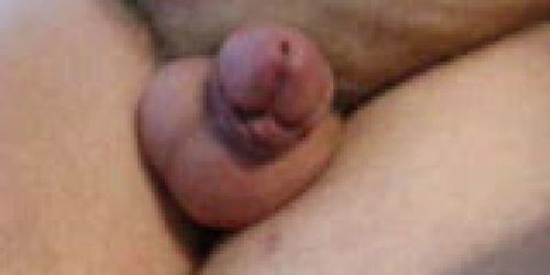 Small Cock Cumming - 15