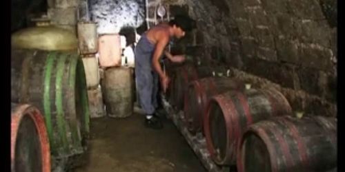 Olga East in wine cellar