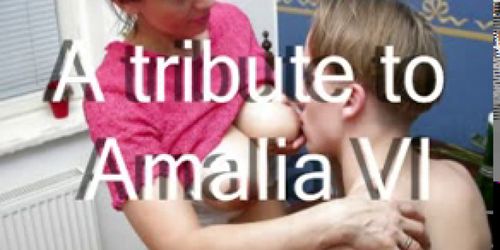 A tribute to Amalia VI a compilation