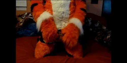 Tiger Paws 2