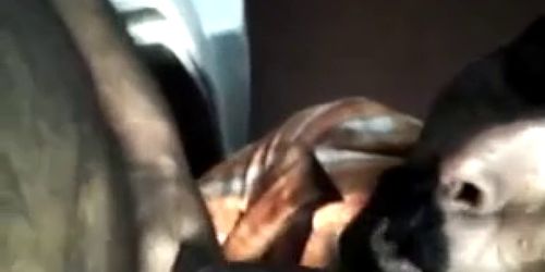 indian gay sucking my dick