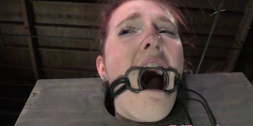 BDSM submissive gagged and toyed