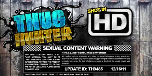 Interracial fun of gays