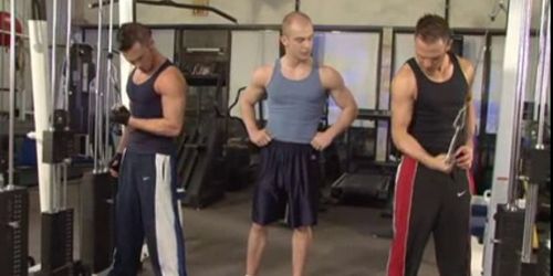Muscle Gay