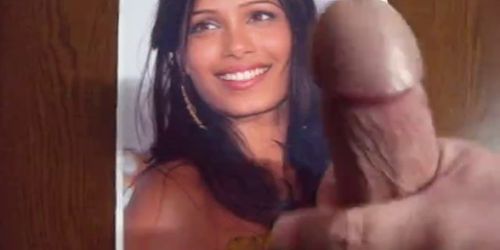 Freida Pinto