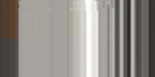 Boy loves to play with his toy