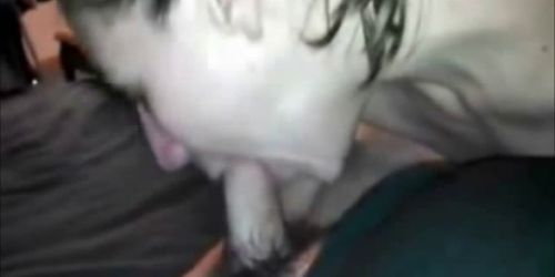 Hungry Cum Slut Swallows his Load